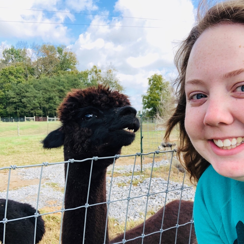 Meet your Posher, Hollholly